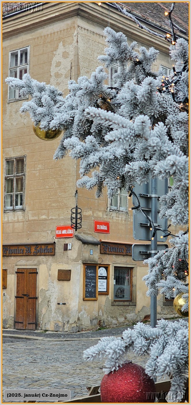 2025.01-Cz-Znojmo-030.jpg