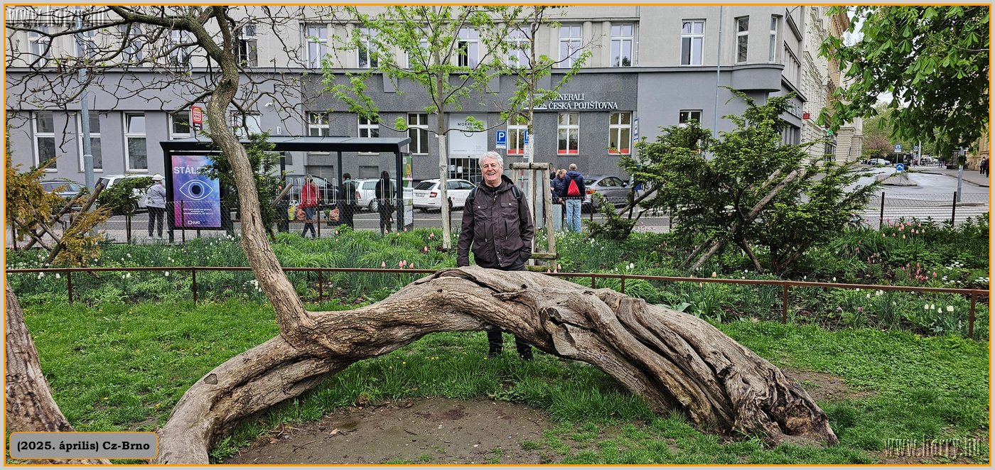 2025.04.-Cz-Brno-074.jpg