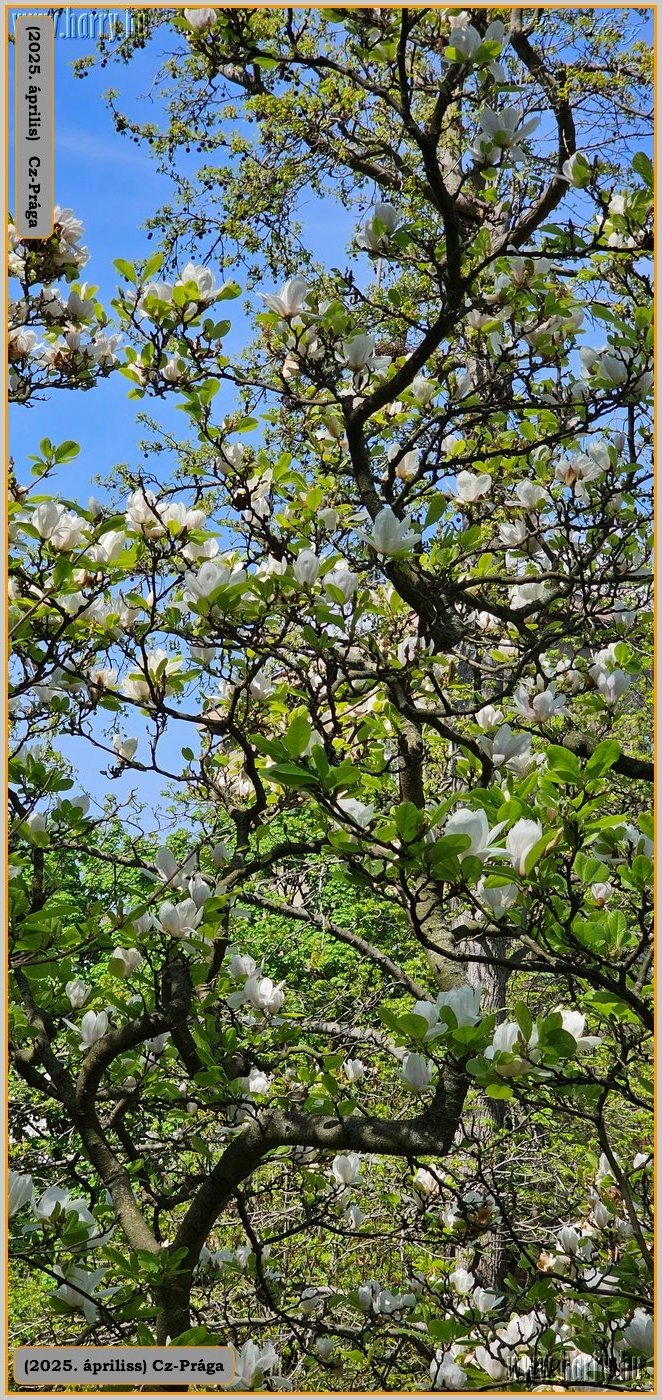 2025.04.-Cz-Praga-215.jpg
