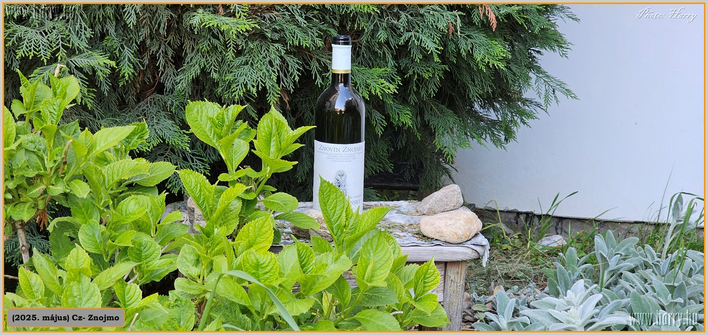 069-2025.05.-Cz-Znojmo.jpg