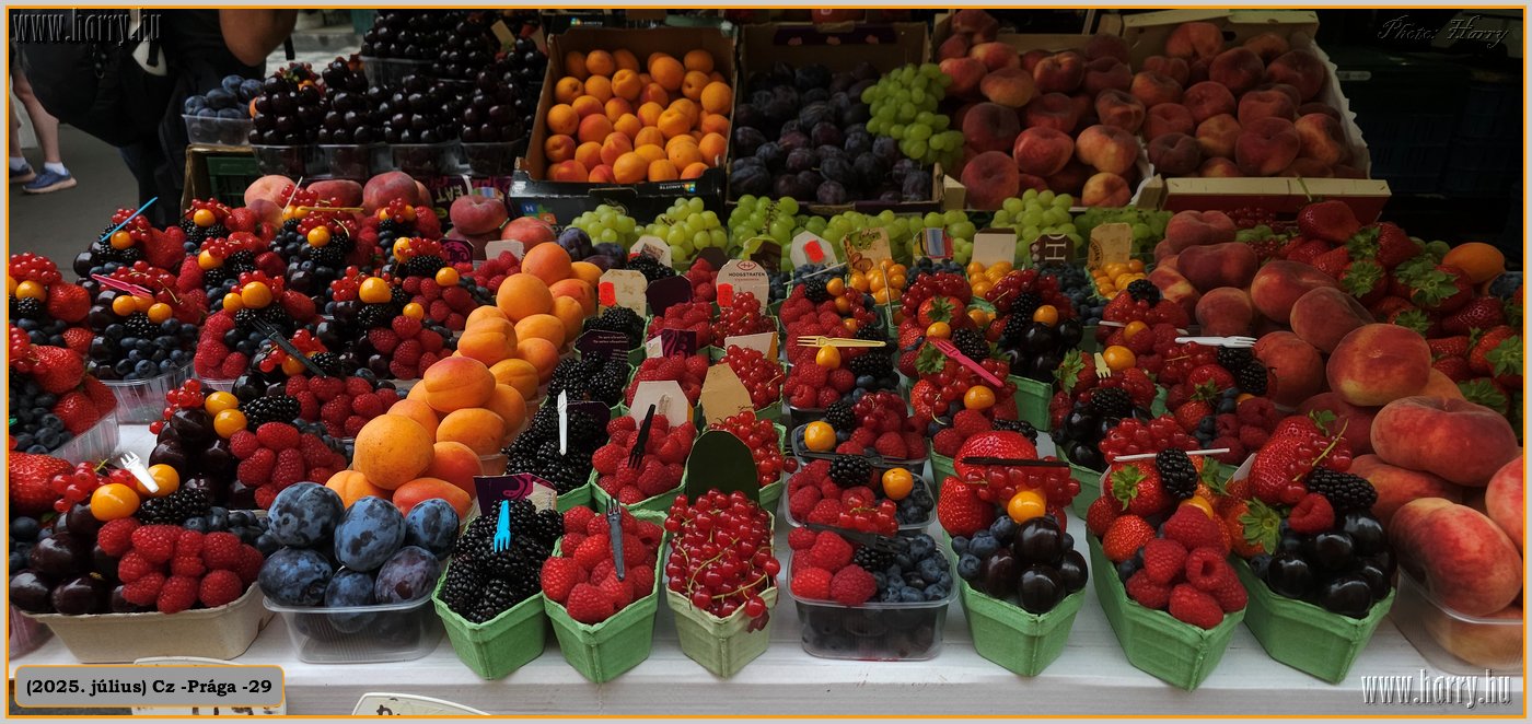 2025.07.-Cz-Praga-29-164.jpg