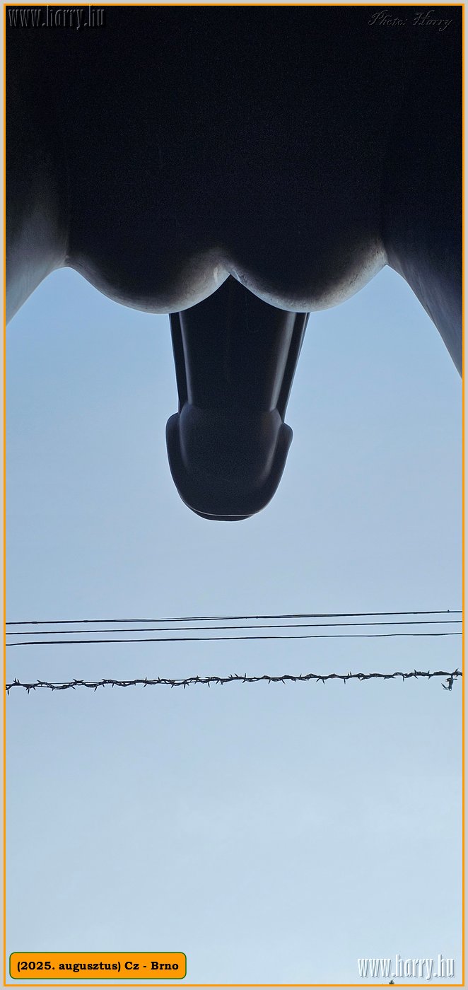2025.08.-Cz-Brno-116.jpg