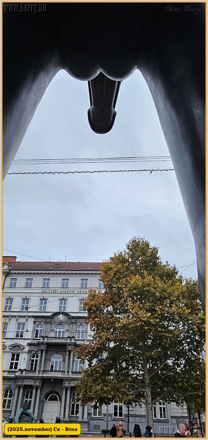 2025.11.-Cz-Brno-21.jpg