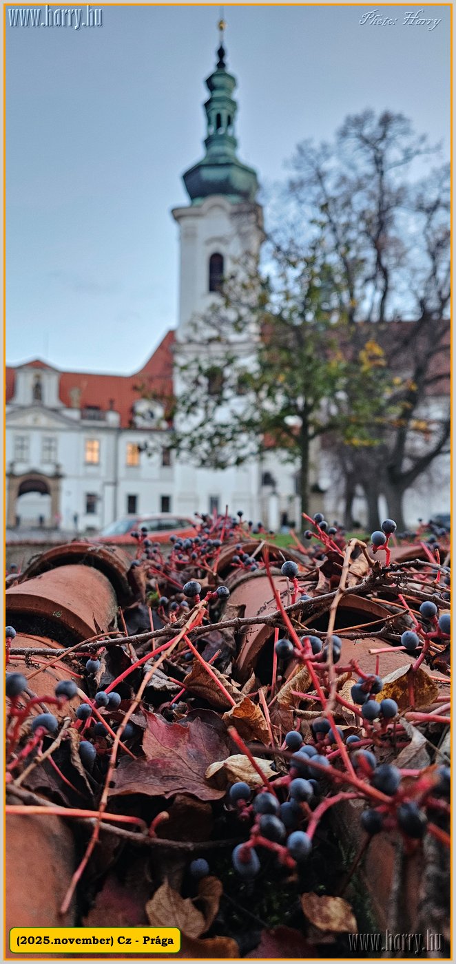 2025.11.-Cz-Praga-004.jpg