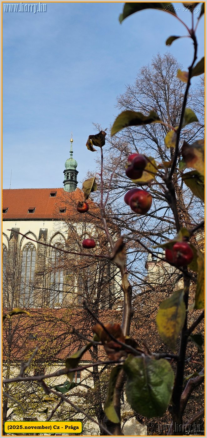 2025.11.-Cz-Praga-155.jpg