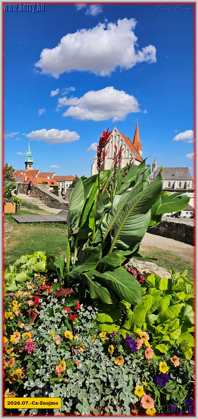 2026.07.-Cz-Znojmo-047.jpg